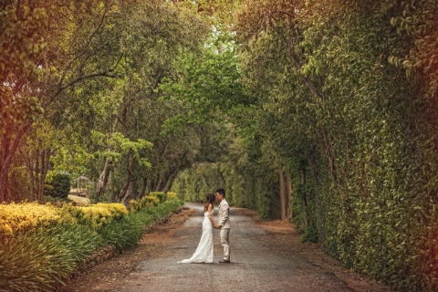 Sydney Wedding - Andy & Jenny - 004