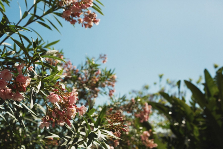 Sydney Wedding - Jono & Lyndall - 090