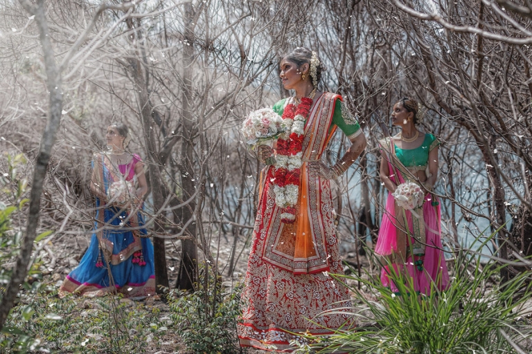 Sydney Indian Wedding - Aniket and Reshma - 0003