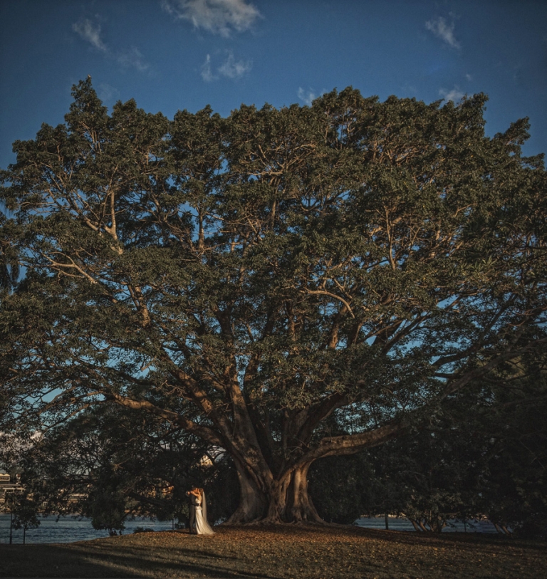 Brisbane Wedding Photographer - Matt and Cathy- 0436