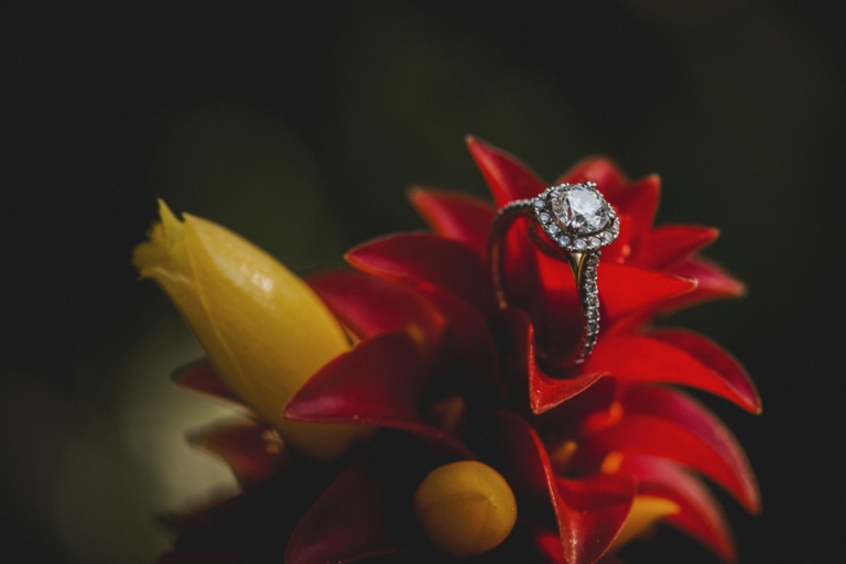 Byron Bay Wedding Photography - Fig Tree - Mike and Kristy- 0065