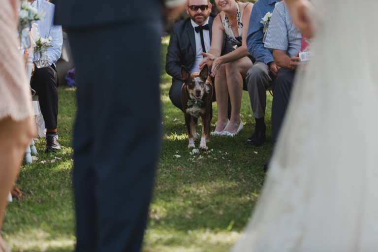 Byron Bay Wedding Photography - Fig Tree - Mike and Kristy- 0274