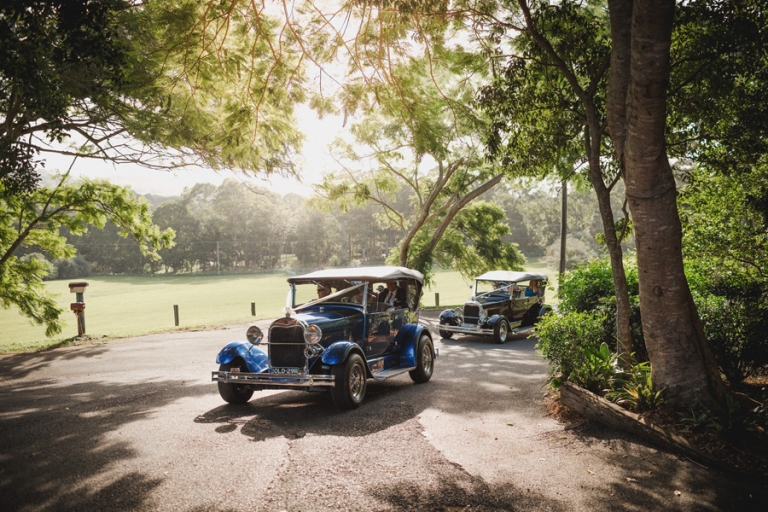 Byron Bay Wedding Photography - Fig Tree - Mike and Kristy- 0385