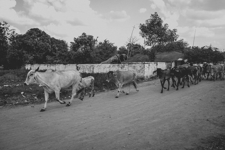 Australian Photojournalist Travel Photography Colombia and NY - 0075