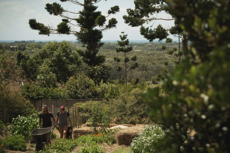 Byron Bay Wedding - Mike and Natasha - 006
