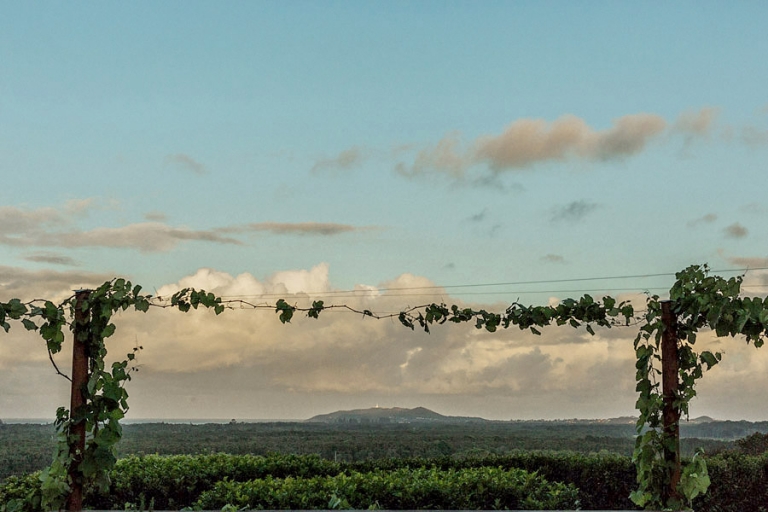 Byron Bay Wedding - Mike and Natasha - 083
