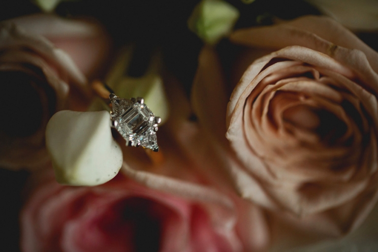 Sydney Indian Wedding - Aniket and Reshma - 0004