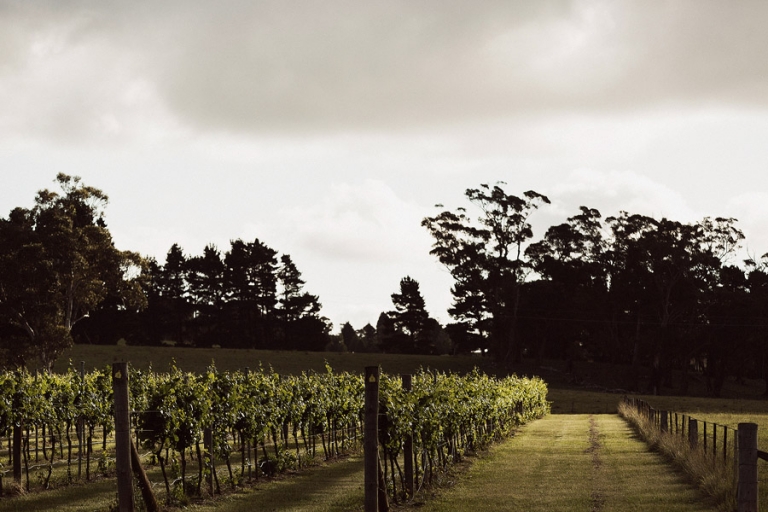 Southern Highlands Wedding Photography - Bendooley Estate - Adam and Bridget - 077