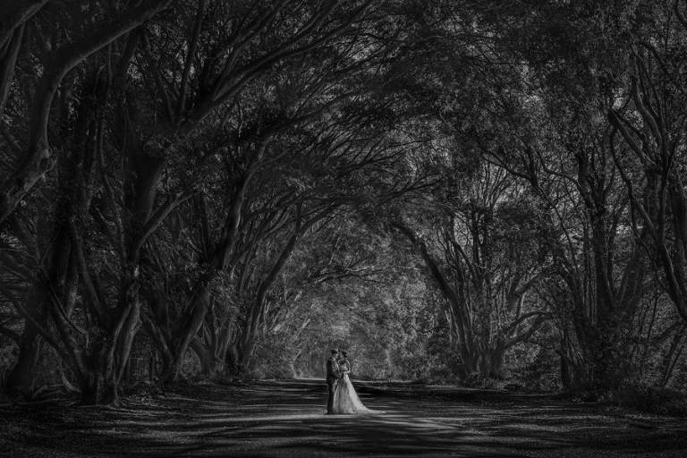 Byron Bay Wedding Photography - Fig Tree - Mike and Kristy- 0348