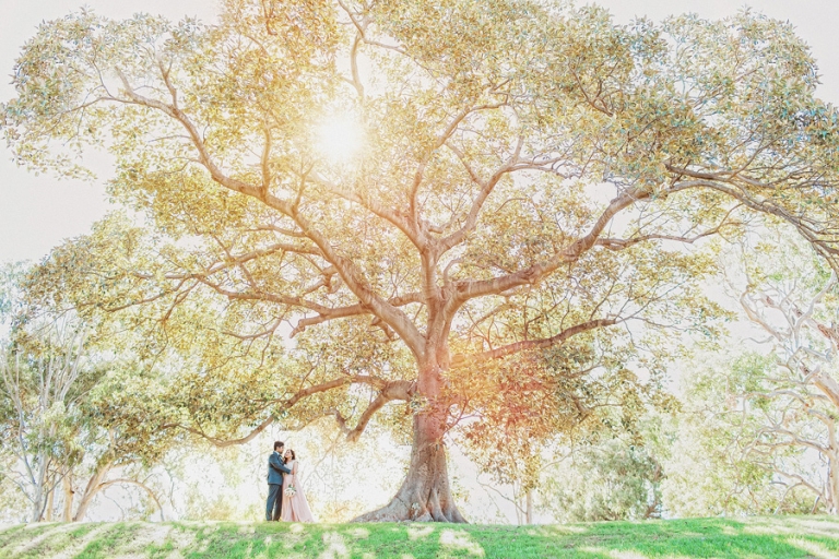 Engagement Photography Sydney