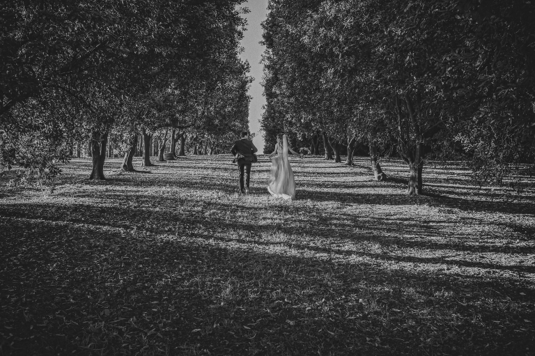 Byron Bay Wedding Photography
