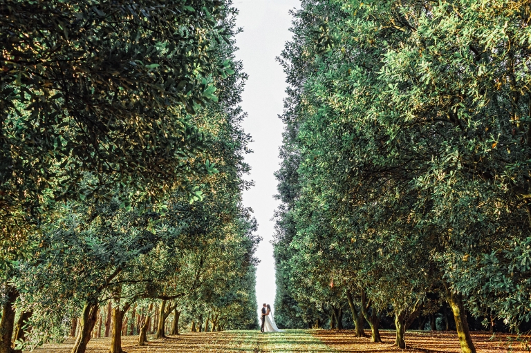 Byron Bay Wedding Photography