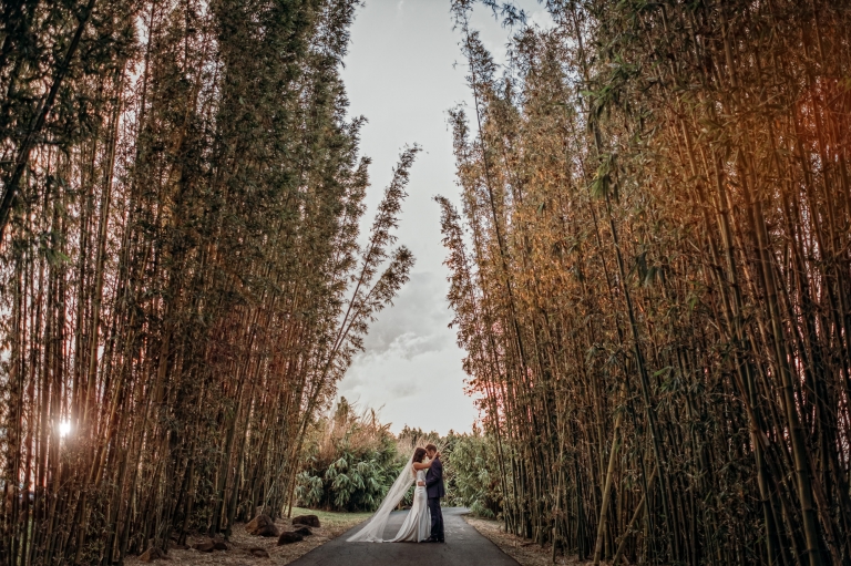 Wedding Photography Byron Bay