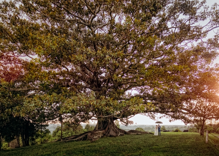 Byron Bay Wedding Photographer