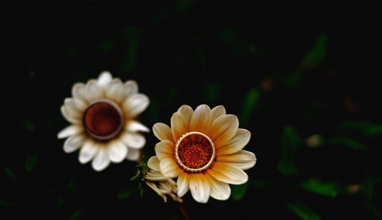 Australian Wedding Photographer