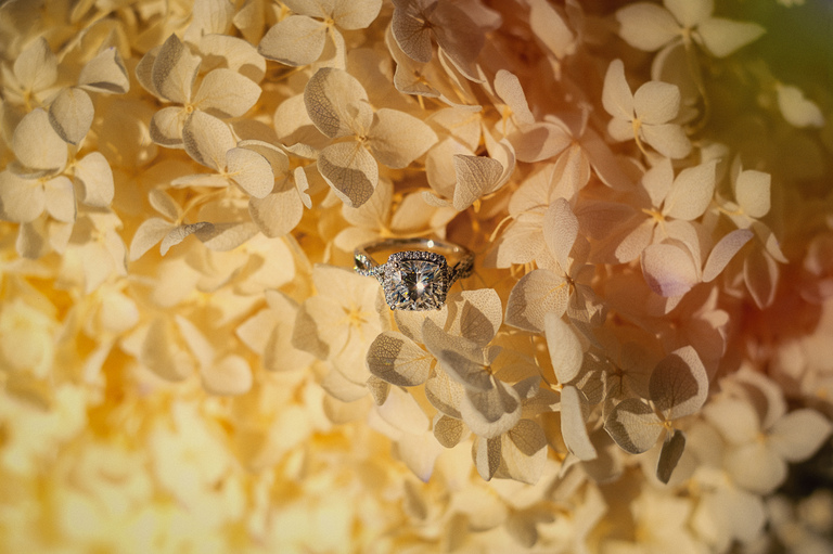 Wedding Photography Sydney