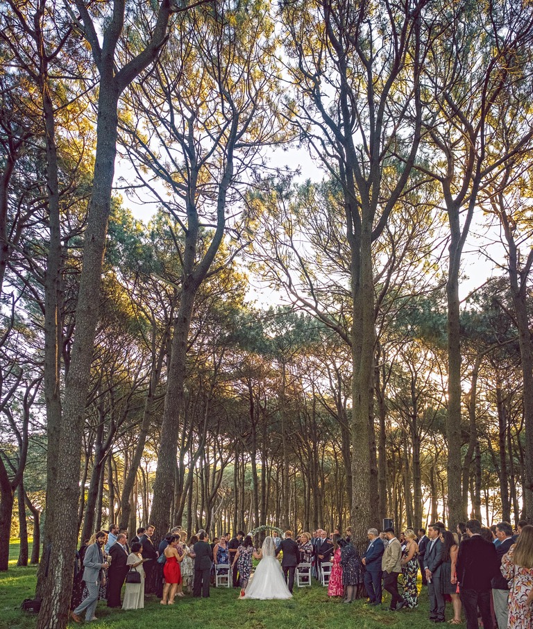 Wedding Photography Sydney